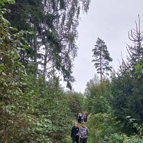 96ffd529-d9aa-49e2-9a62-6c1689005355